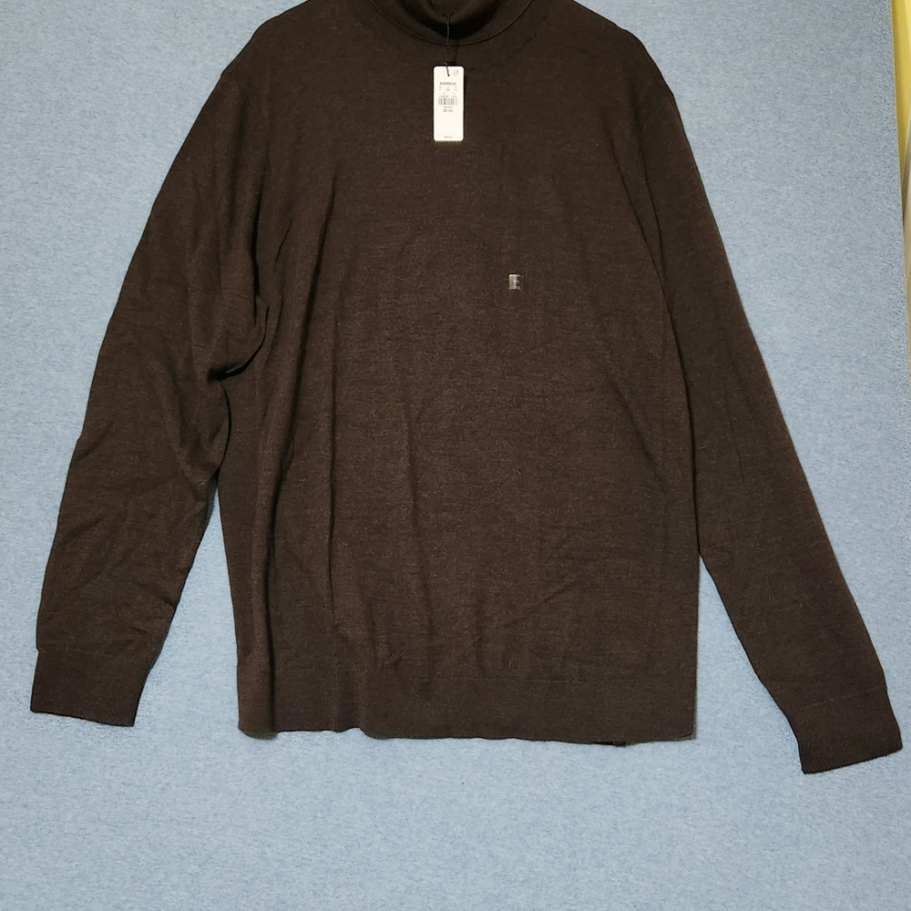 Express Brown Turtleneck Sweater